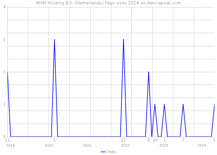 MVM Holding B.V. (Netherlands) Page visits 2024 