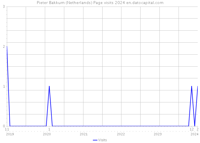 Pieter Bakkum (Netherlands) Page visits 2024 
