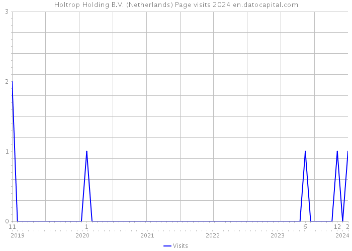 Holtrop Holding B.V. (Netherlands) Page visits 2024 