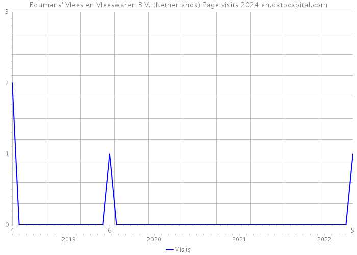 Boumans' Vlees en Vleeswaren B.V. (Netherlands) Page visits 2024 