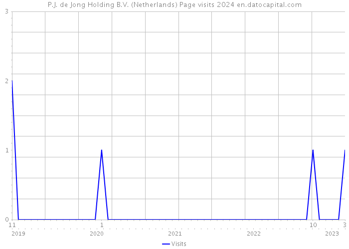 P.J. de Jong Holding B.V. (Netherlands) Page visits 2024 