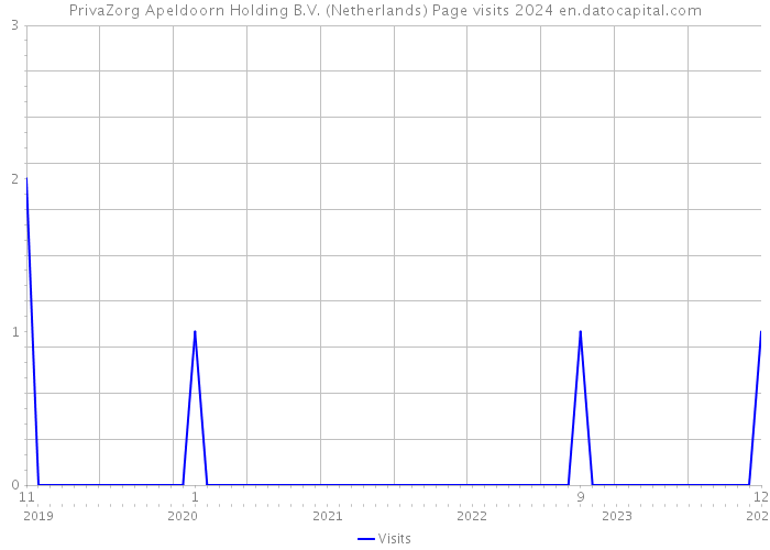 PrivaZorg Apeldoorn Holding B.V. (Netherlands) Page visits 2024 