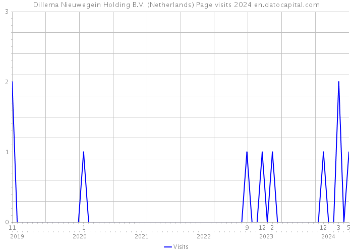 Dillema Nieuwegein Holding B.V. (Netherlands) Page visits 2024 