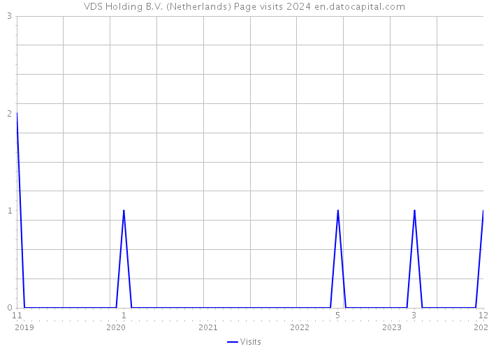 VDS Holding B.V. (Netherlands) Page visits 2024 