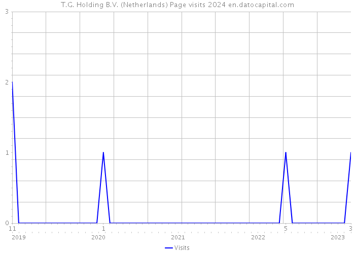 T.G. Holding B.V. (Netherlands) Page visits 2024 