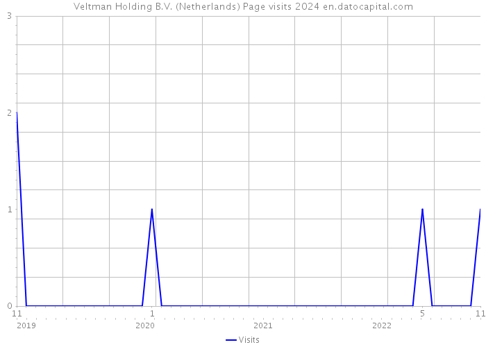 Veltman Holding B.V. (Netherlands) Page visits 2024 