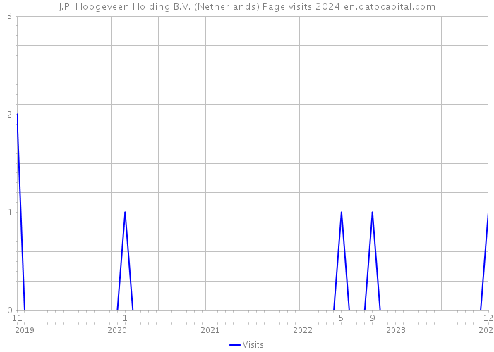 J.P. Hoogeveen Holding B.V. (Netherlands) Page visits 2024 