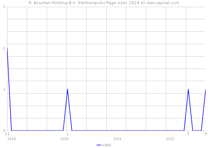 R. Bouman Holding B.V. (Netherlands) Page visits 2024 