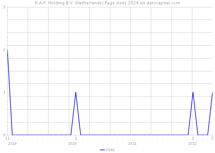 R.A.P. Holding B.V. (Netherlands) Page visits 2024 