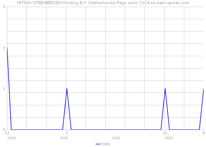 NITIDA-STEENBERGEN Holding B.V. (Netherlands) Page visits 2024 