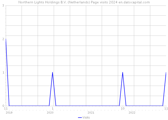 Northern Lights Holdings B.V. (Netherlands) Page visits 2024 