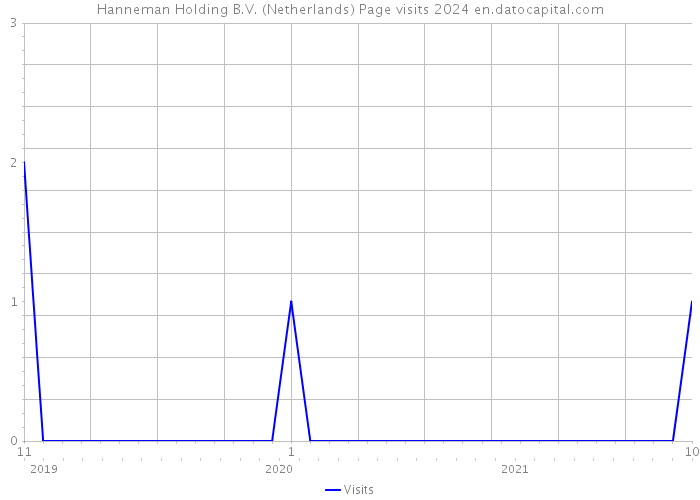 Hanneman Holding B.V. (Netherlands) Page visits 2024 