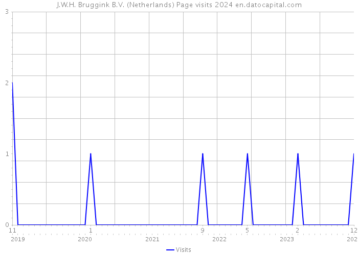 J.W.H. Bruggink B.V. (Netherlands) Page visits 2024 