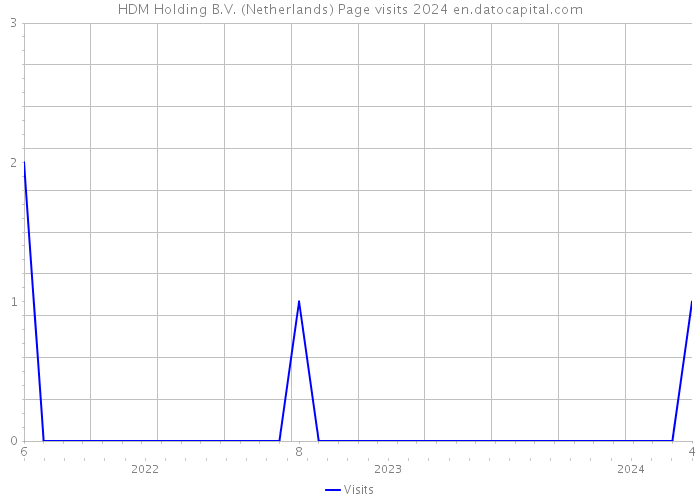 HDM Holding B.V. (Netherlands) Page visits 2024 