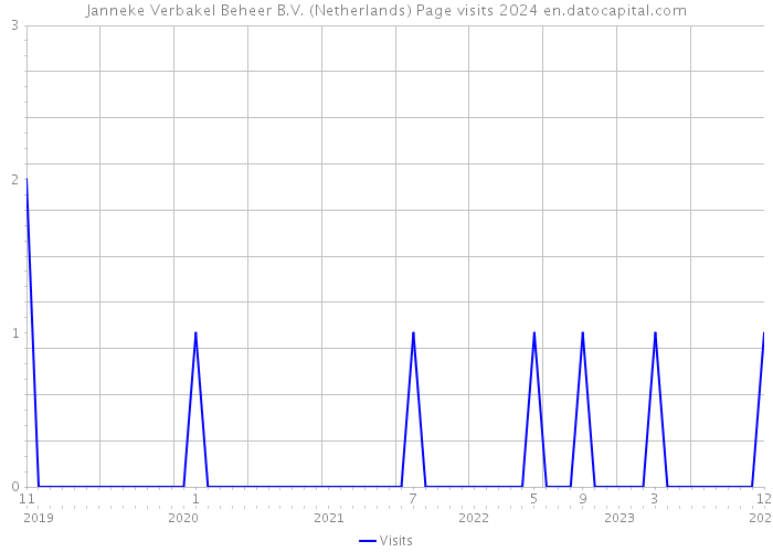 Janneke Verbakel Beheer B.V. (Netherlands) Page visits 2024 