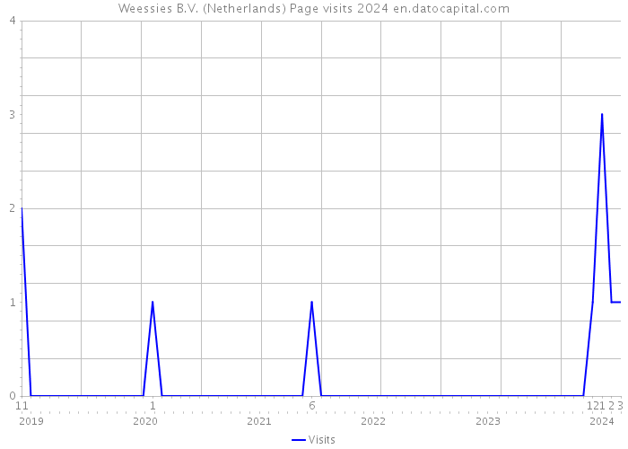 Weessies B.V. (Netherlands) Page visits 2024 