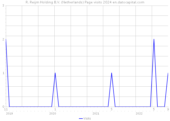R. Reijm Holding B.V. (Netherlands) Page visits 2024 