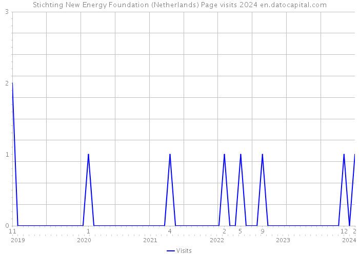 Stichting New Energy Foundation (Netherlands) Page visits 2024 