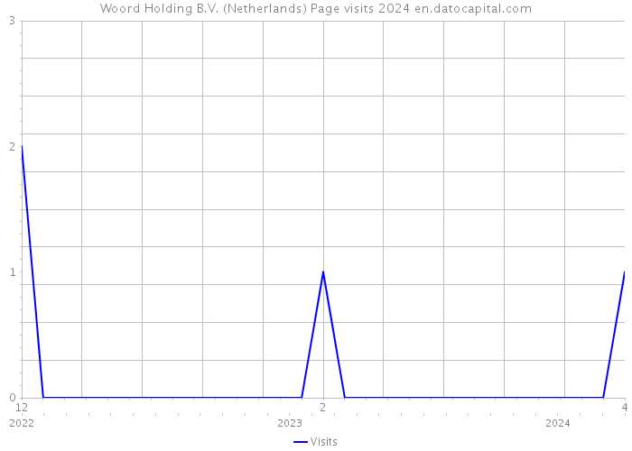 Woord Holding B.V. (Netherlands) Page visits 2024 