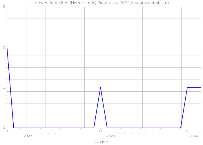 Amy Holding B.V. (Netherlands) Page visits 2024 
