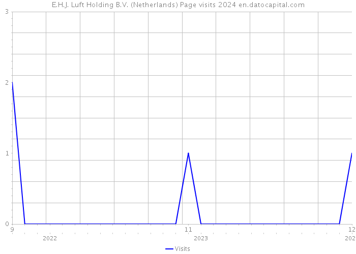 E.H.J. Luft Holding B.V. (Netherlands) Page visits 2024 