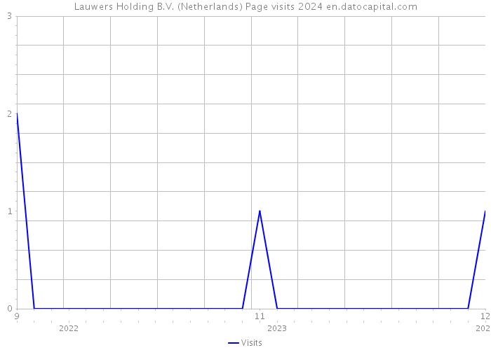 Lauwers Holding B.V. (Netherlands) Page visits 2024 