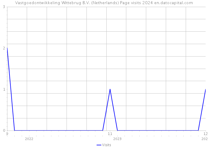 Vastgoedontwikkeling Wittebrug B.V. (Netherlands) Page visits 2024 