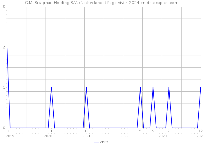 G.M. Brugman Holding B.V. (Netherlands) Page visits 2024 