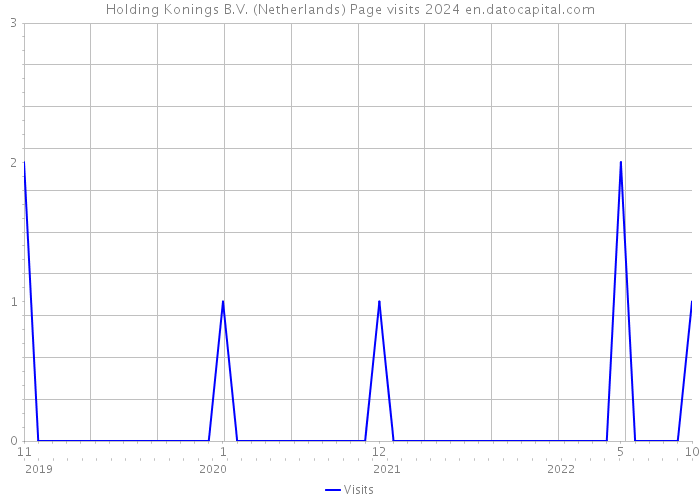 Holding Konings B.V. (Netherlands) Page visits 2024 