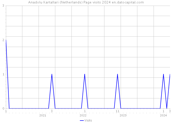 Anadolu Kartallari (Netherlands) Page visits 2024 