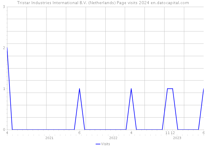 Tristar Industries International B.V. (Netherlands) Page visits 2024 