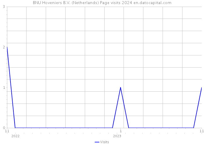 BNU Hoveniers B.V. (Netherlands) Page visits 2024 