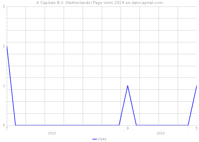 A Capitals B.V. (Netherlands) Page visits 2024 