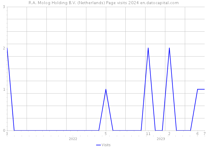 R.A. Molog Holding B.V. (Netherlands) Page visits 2024 
