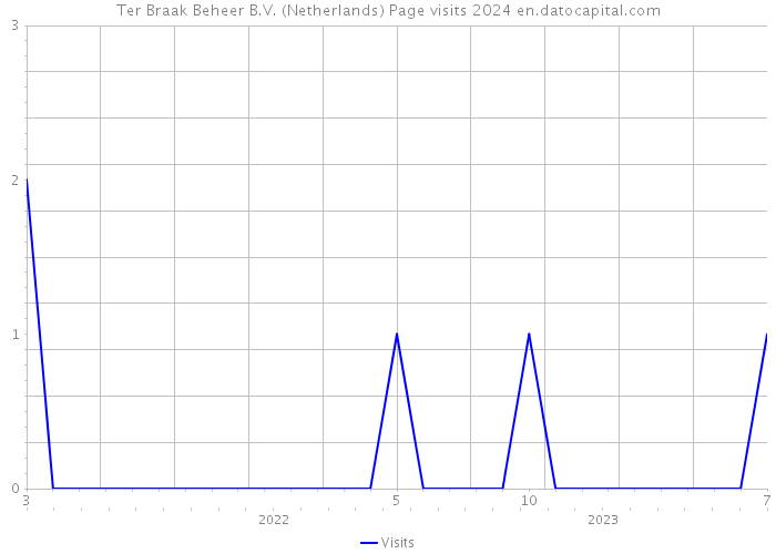 Ter Braak Beheer B.V. (Netherlands) Page visits 2024 