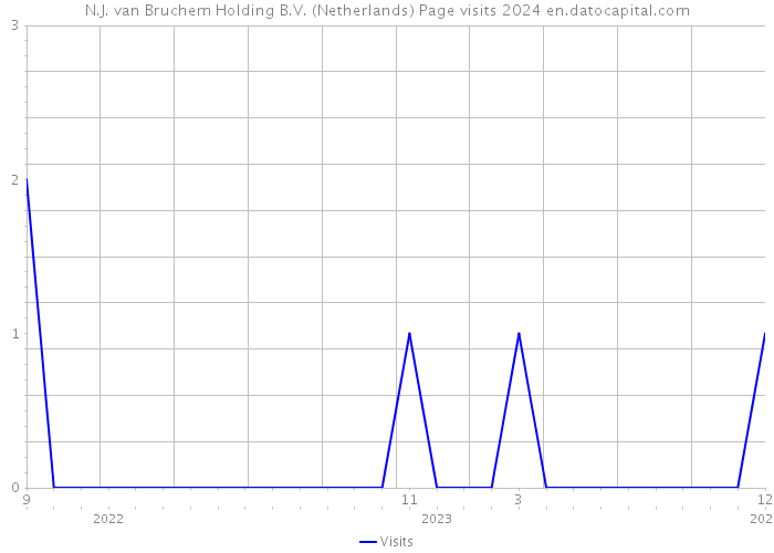 N.J. van Bruchem Holding B.V. (Netherlands) Page visits 2024 