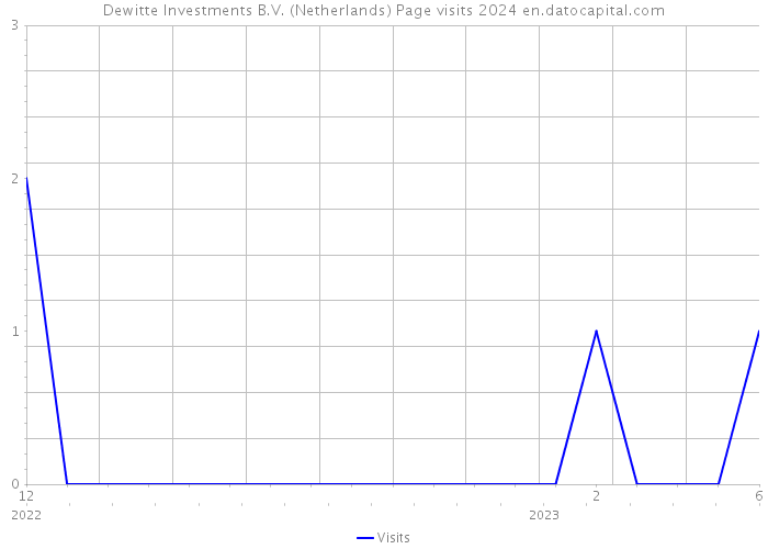 Dewitte Investments B.V. (Netherlands) Page visits 2024 