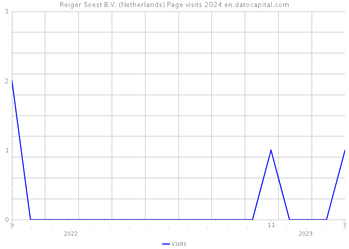 Reiger Soest B.V. (Netherlands) Page visits 2024 