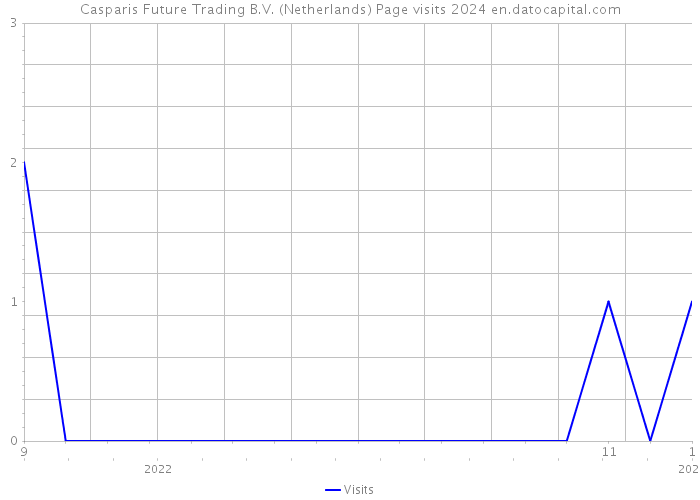 Casparis Future Trading B.V. (Netherlands) Page visits 2024 