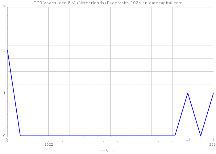 TCR Voertuigen B.V. (Netherlands) Page visits 2024 
