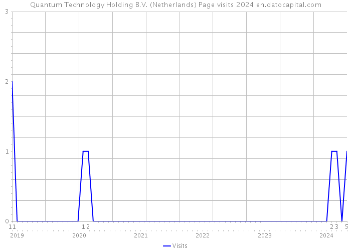 Quantum Technology Holding B.V. (Netherlands) Page visits 2024 