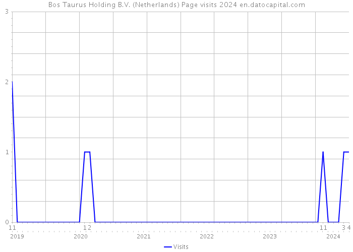 Bos Taurus Holding B.V. (Netherlands) Page visits 2024 