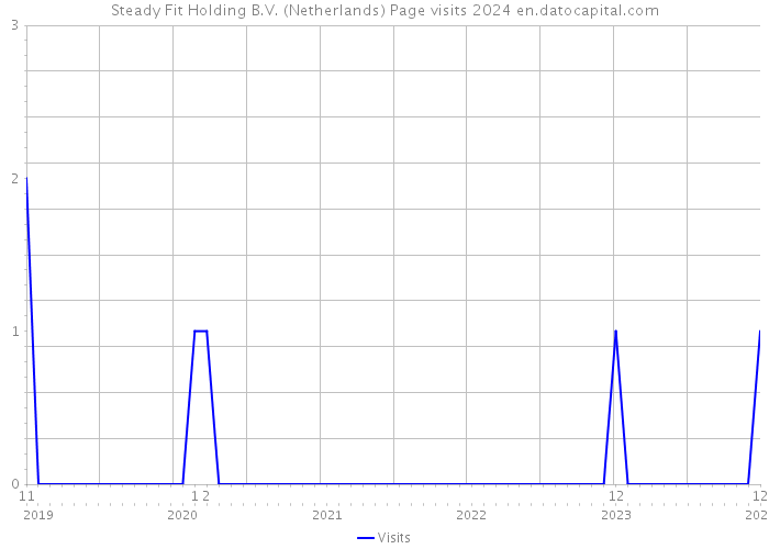 Steady Fit Holding B.V. (Netherlands) Page visits 2024 