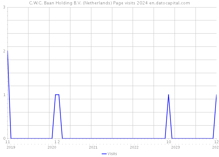 C.W.C. Baan Holding B.V. (Netherlands) Page visits 2024 