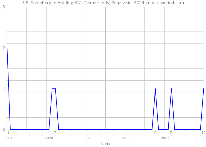 B.R. Steenbergen Holding B.V. (Netherlands) Page visits 2024 