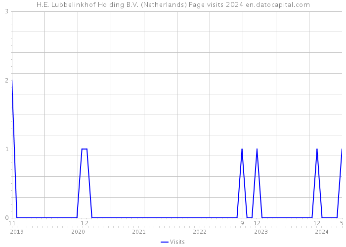 H.E. Lubbelinkhof Holding B.V. (Netherlands) Page visits 2024 