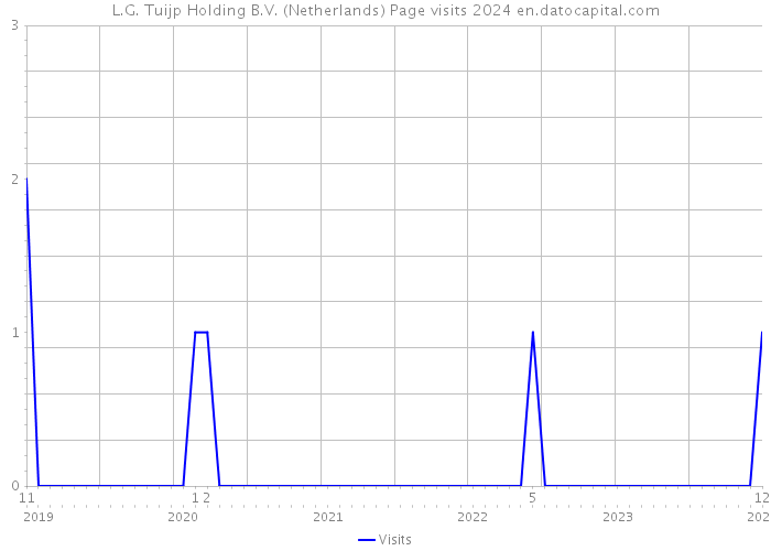 L.G. Tuijp Holding B.V. (Netherlands) Page visits 2024 