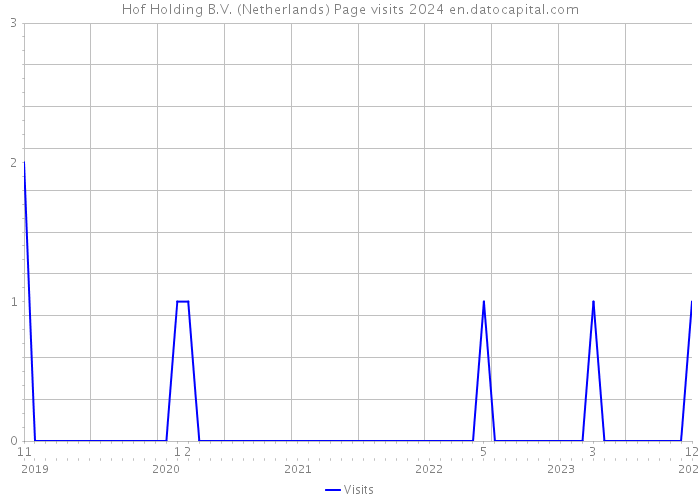 Hof Holding B.V. (Netherlands) Page visits 2024 