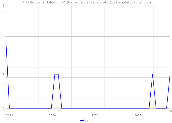 OTO Bergsma Holding B.V. (Netherlands) Page visits 2024 