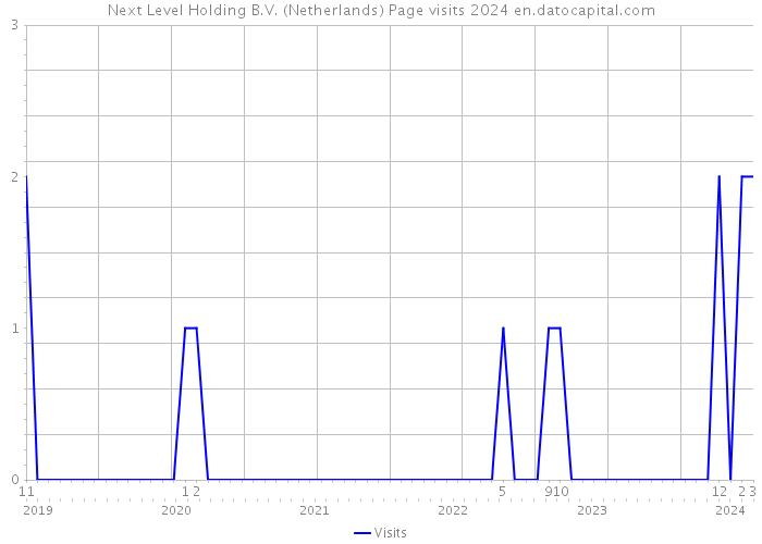 Next Level Holding B.V. (Netherlands) Page visits 2024 